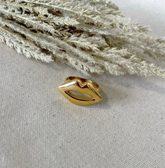 Anillo Labios